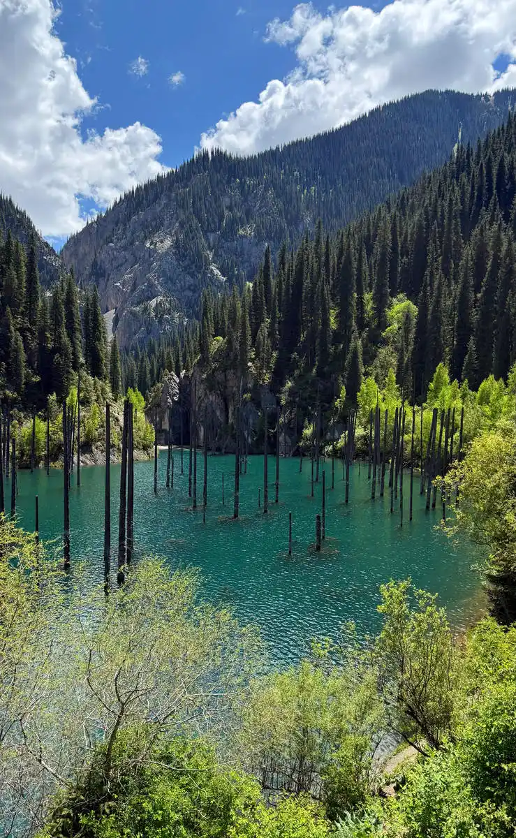 Turquoise Lake Kaindy with submerged tree trunks, framed by spring greenery and forested mountains